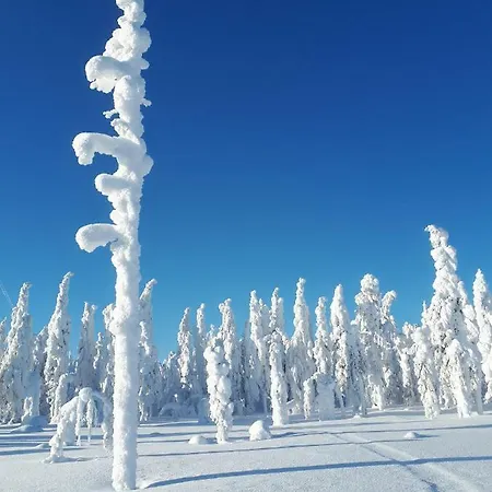 Valkea Arctic Lodge *